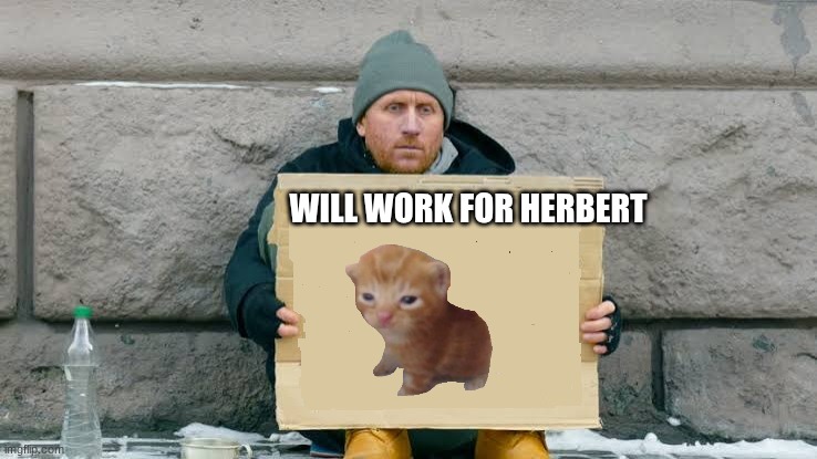 will work for | will work for herbert | image tagged in will work for | made w/ Imgflip meme maker