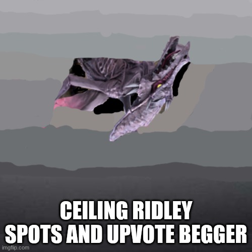 UPVOTE BEGGER SPOTTED | Ceiling Ridley spots and upvote begger | image tagged in memes,ceiling cat | made w/ Imgflip meme maker