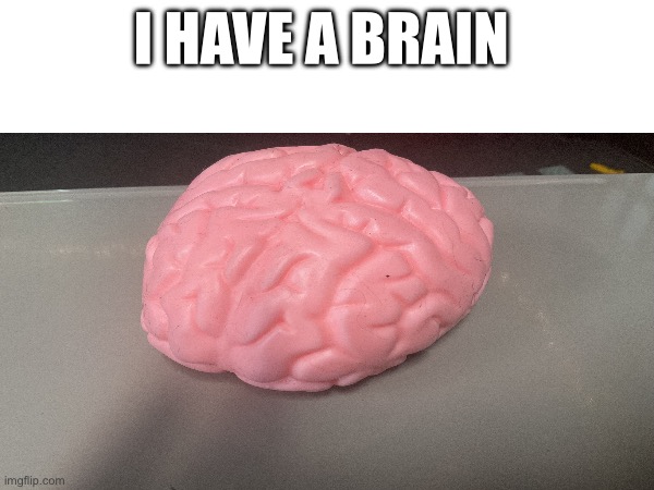 Jk it’s just a squishy I got from five below. but it’s sure tasty | I have a brain | image tagged in brains | made w/ Imgflip meme maker