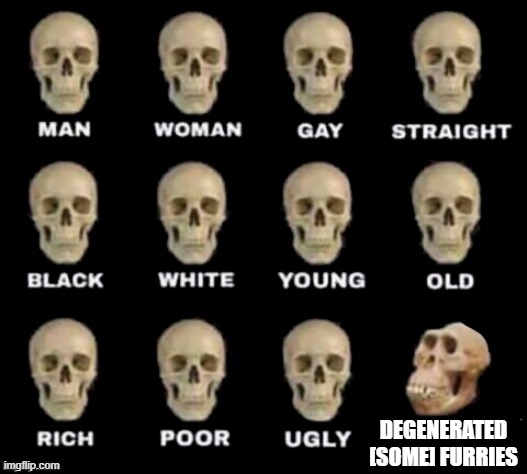 af meme 2 | degenerated [some] furries | image tagged in idiot skull,anti furry | made w/ Imgflip meme maker