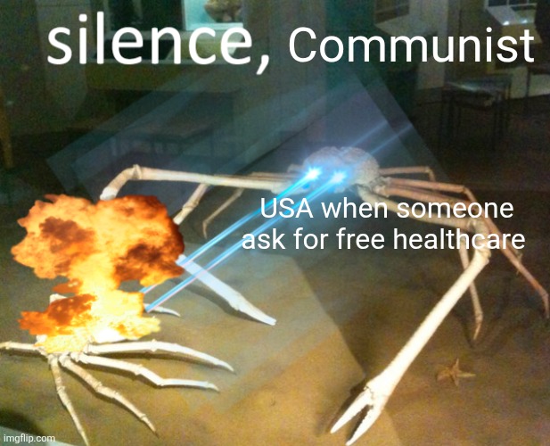 Silence Crab | Communist; USA when someone ask for free healthcare | image tagged in silence crab | made w/ Imgflip meme maker