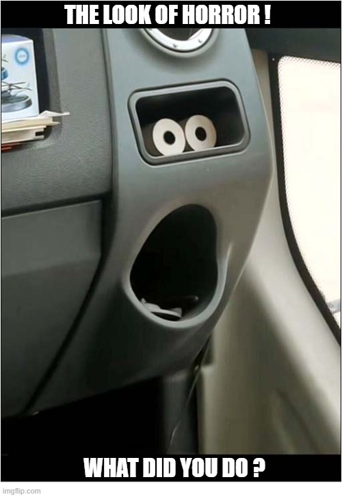Are You A Bad Driver ? | The Look Of Horror ! What Did You Do ? | image tagged in bad driver,the look,horror | made w/ Imgflip meme maker