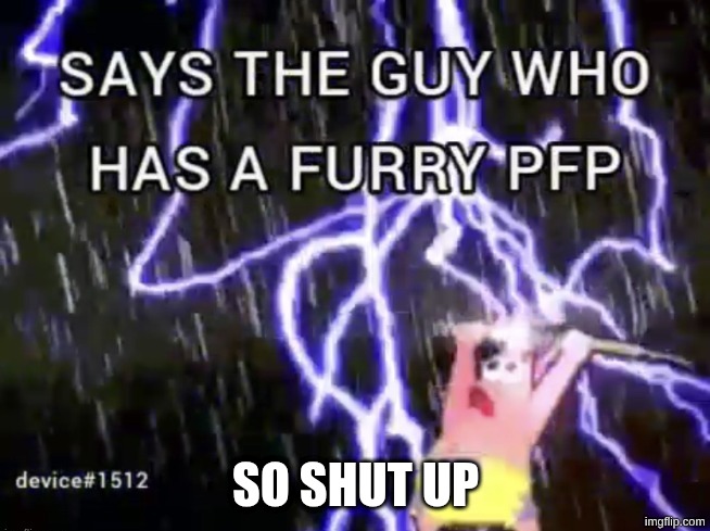 hehe | SO shut up | image tagged in says the guy who has a furry pfp,idk what to put here | made w/ Imgflip meme maker