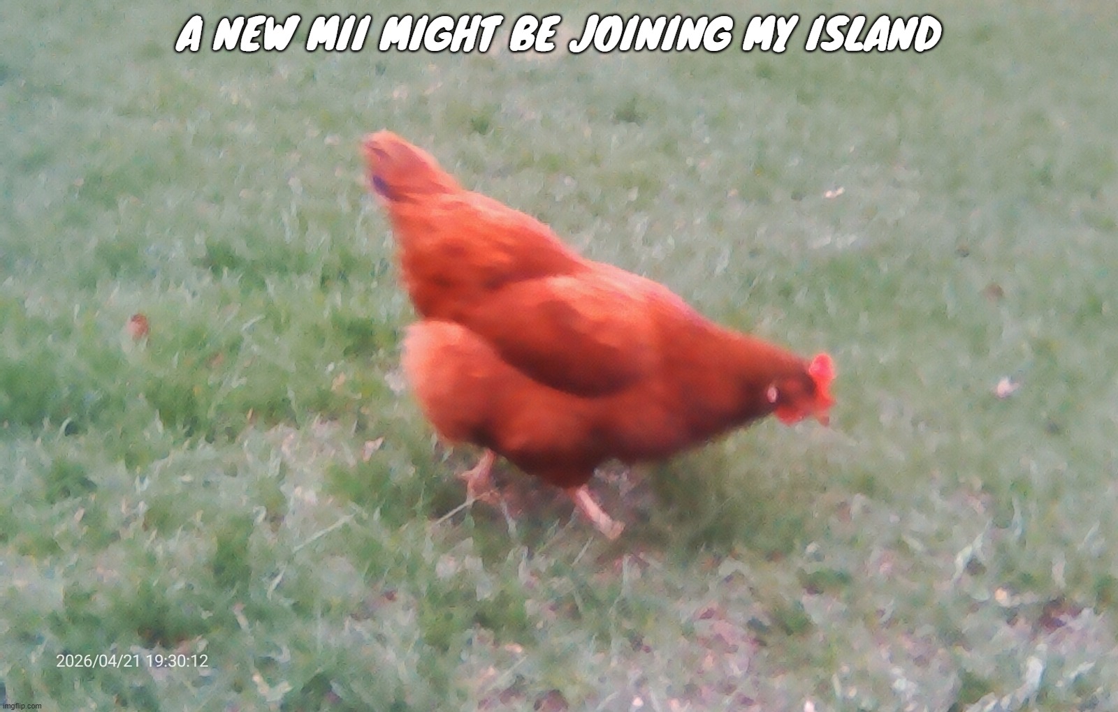its going to be mind blowing | a new mii might be joining my island | image tagged in 2026-04-21-19-30-12 jpg | made w/ Imgflip meme maker