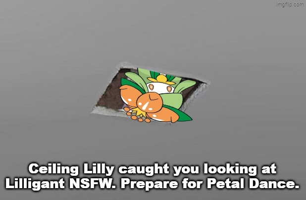 image tagged in ceiling lilly | made w/ Imgflip meme maker