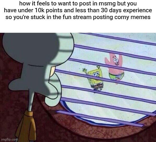 . | how it feels to want to post in msmg but you have under 10k points and less than 30 days experience so you're stuck in the fun stream posting corny memes | image tagged in squidward window | made w/ Imgflip meme maker