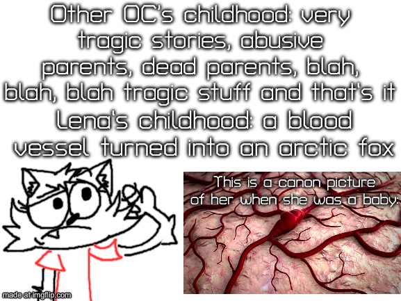 Lena was canonically a vessel turned into a white arctic fox (she’s not overpowered. She’s just a normal fox) | Other OC‘s childhood: very tragic stories, abusive parents, dead parents, blah, blah, blah tragic stuff and that’s it; Lena’s childhood: a blood vessel turned into an arctic fox; This is a canon picture of her when she was a baby: | image tagged in blank white template,ocs,fun fact | made w/ Imgflip meme maker