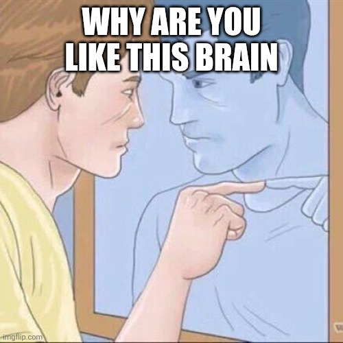 Why are you like this brain | image tagged in pointing mirror guy | made w/ Imgflip meme maker