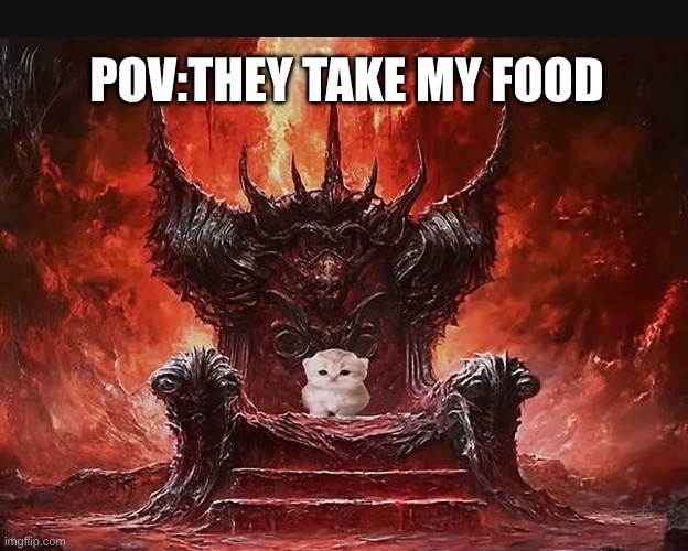 foood | pov:they take my food | image tagged in kitty throne | made w/ Imgflip meme maker