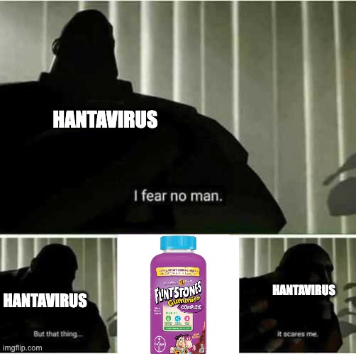 hantavirus has nothing on flintstone vitamins | hantavirus; hantavirus; hantavirus | image tagged in i fear no man | made w/ Imgflip meme maker