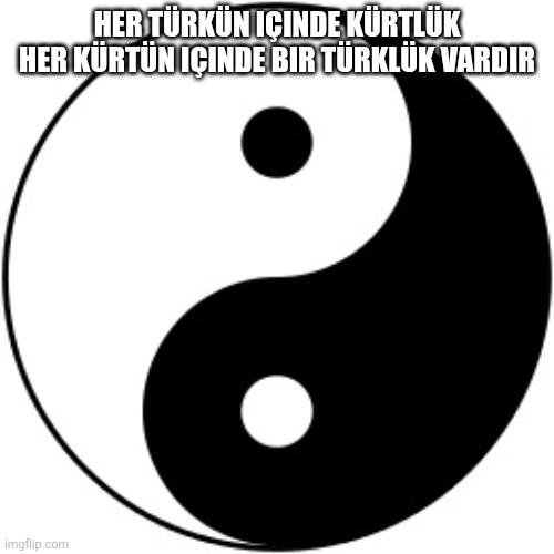 Yin Yang | Her Türkün içinde kürtlük her kürtün içinde bir Türklük vardır | image tagged in yin yang | made w/ Imgflip meme maker