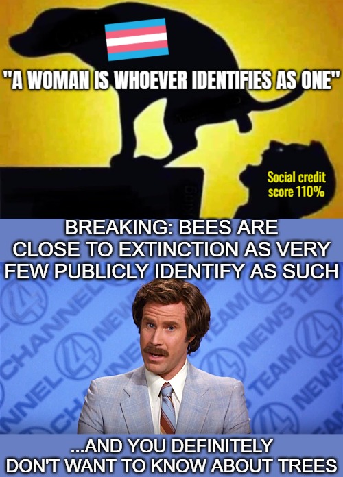 Breaking: Bees are close to extinction as very few publicly identify as such; ...And you definitely don't want to know about trees | image tagged in anchorman news,dog pooping in mouth,funny,gender identity,sarcasm | made w/ Imgflip meme maker