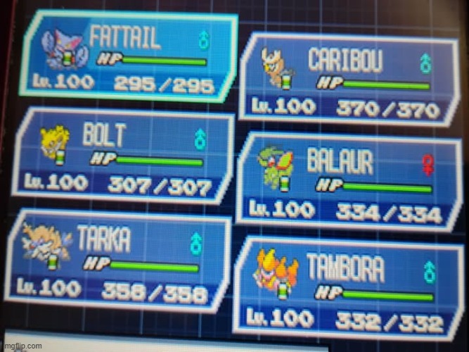pokemon white 2 team | image tagged in pokemon,pokemon memes,pokemon black and white 2,nintendo,video games,nintendo ds | made w/ Imgflip meme maker