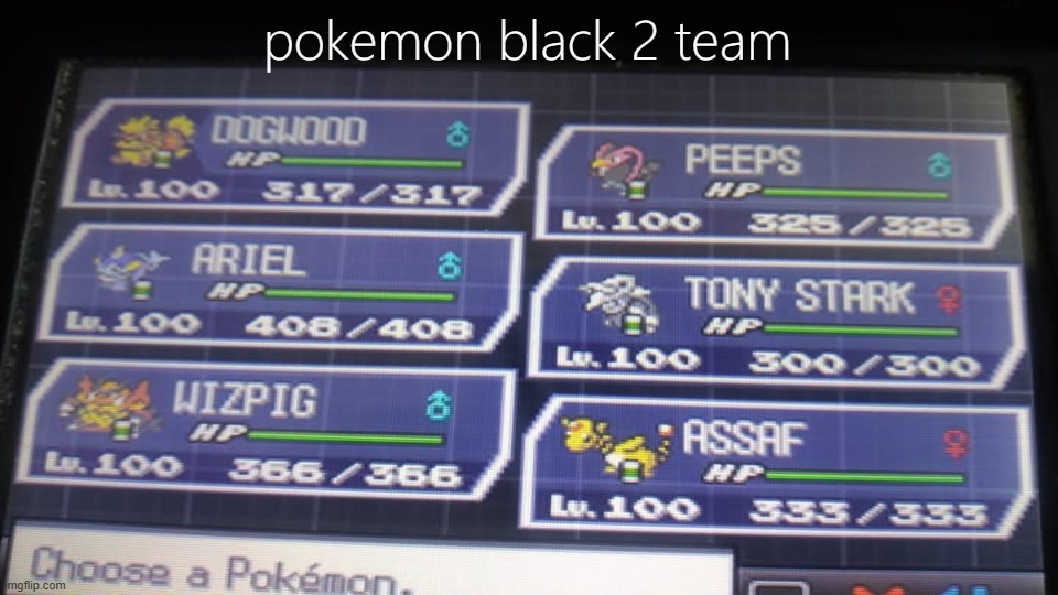 pokemon black 2 team | pokemon black 2 team | image tagged in pokemon black and white 2,videogames,pokemon,nintendo,pokemon black and white,teams | made w/ Imgflip meme maker