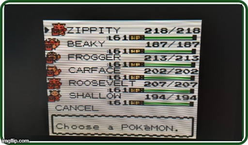 pokemon gold team | image tagged in pokemon,pokemon gold and silver,gaming,videogames,gameboy,retro | made w/ Imgflip meme maker