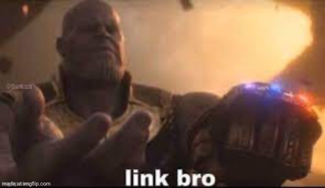 link bro | image tagged in link bro | made w/ Imgflip meme maker
