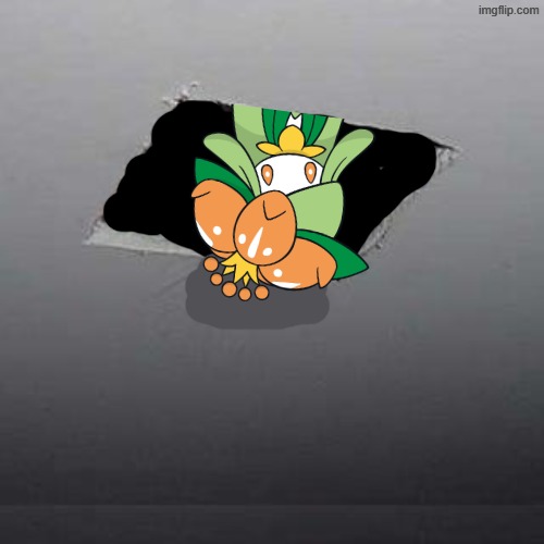Updated version. | image tagged in memes,ceiling cat,update | made w/ Imgflip meme maker