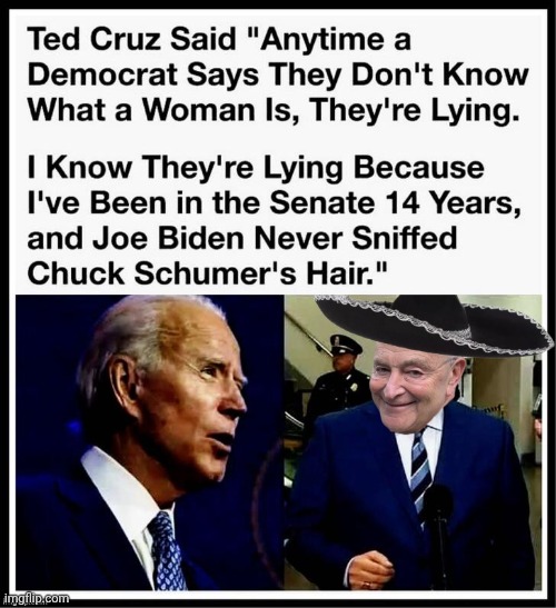 He never sniffed Cuck Scummer | image tagged in biden,sniff,chuck schumer | made w/ Imgflip meme maker