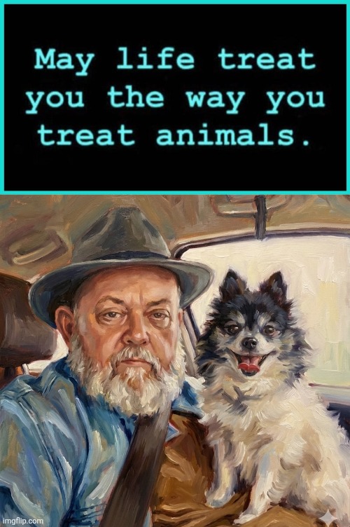May life treat you the way you treat animals | image tagged in pomeranian,true love,animals | made w/ Imgflip meme maker