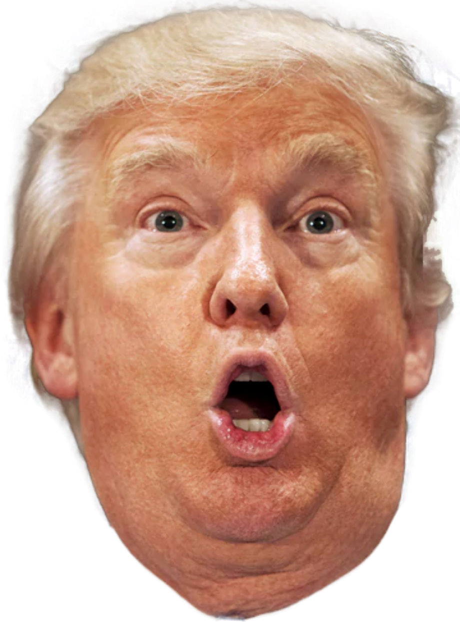 Trump head Blank Meme Template