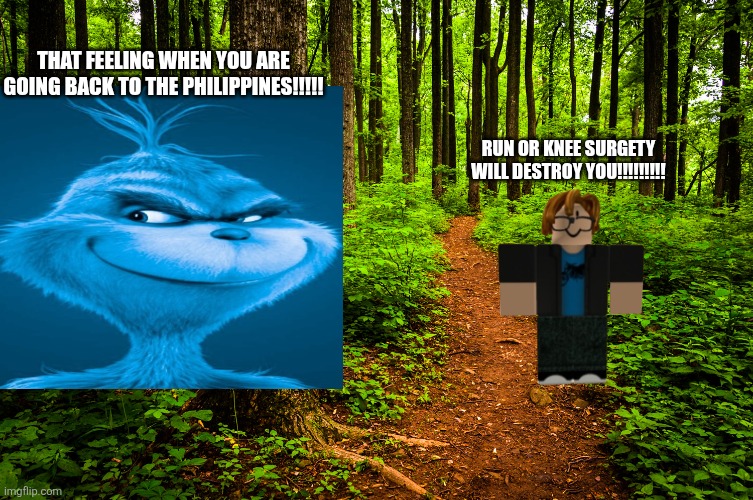 The lulzracoon incident part 6 (plot twist: blue grinch is chasing anonymous [victor march] in a different [fanmade] dimension) | That feeling when you are going back to the philippines!!!!! RUN OR KNEE SURGETY WILL DESTROY YOU!!!!!!!!! | image tagged in memes,nextbots,scenarios,plot twist,chasing,knee surgery | made w/ Imgflip meme maker