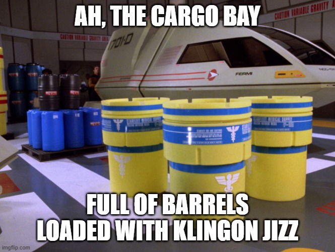 Precious Cargo | ah, the cargo bay; full of barrels loaded with klingon jizz | image tagged in star trek tng cargo area | made w/ Imgflip meme maker
