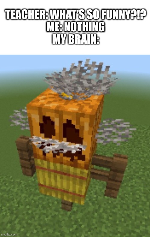 I built something funny in Minecraft...IT'S FUNNY AS HELL | teacher: what's so funny?!?
me: nothing
my brain: | image tagged in minecraft,scarecrow,einstein,teacher what's so funny,teacher what are you laughing at | made w/ Imgflip meme maker