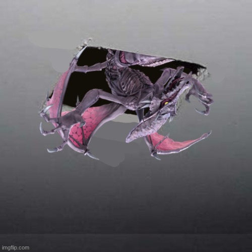 UPVOTE BEGGER SPOTTED (updated) | image tagged in memes,ceiling cat | made w/ Imgflip meme maker