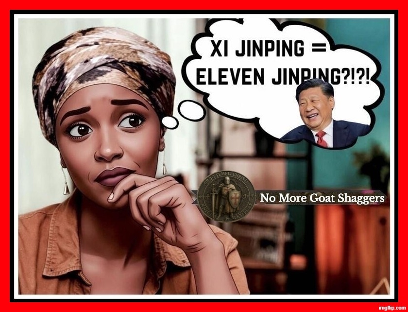 The Answer to Low IQ Immigrants is No More Goat Shaggers! | image tagged in stupid people be like,ilhan omar,low iq,somalia,stupid liberals,never go full retard | made w/ Imgflip meme maker