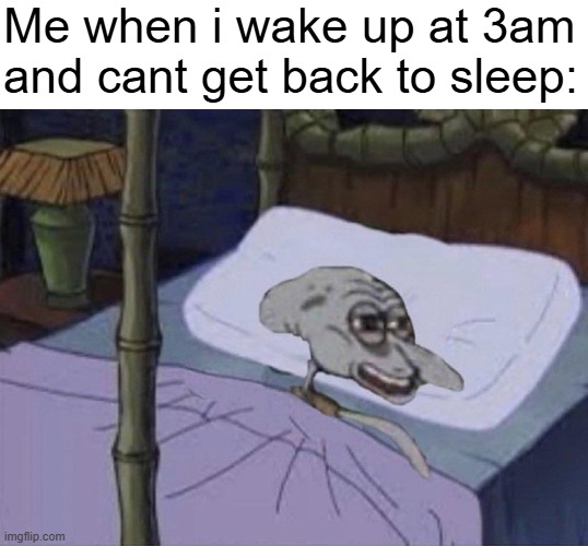 sleep deprived squidward | Me when i wake up at 3am and cant get back to sleep: | image tagged in sleep deprived squidward | made w/ Imgflip meme maker
