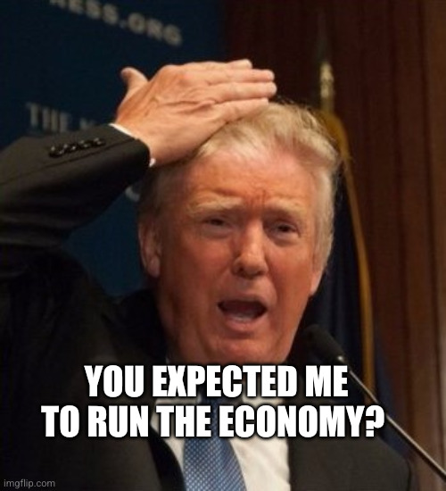 Trump confused | You expected me to run the economy? | image tagged in trump confused | made w/ Imgflip meme maker
