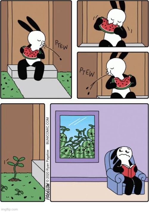 Buni Comics | image tagged in comics,buni comics,watermelon,seeds,spit out,angry | made w/ Imgflip meme maker