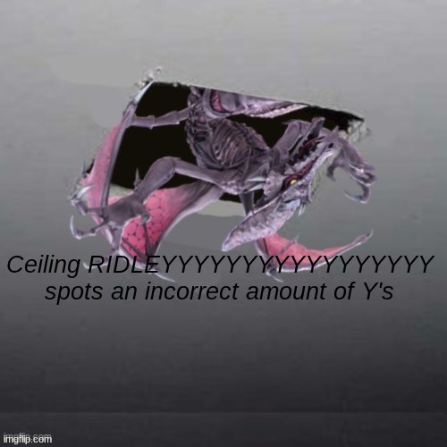 Ceiling RIDLEYYYYYYYYYYYYYYYYY spots... | image tagged in ridley | made w/ Imgflip meme maker