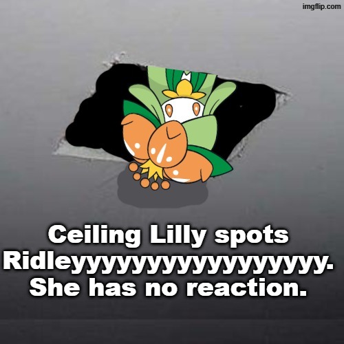 Ceiling Lilly | Ceiling Lilly spots Ridleyyyyyyyyyyyyyyyyy. She has no reaction. | image tagged in ceiling lilly | made w/ Imgflip meme maker
