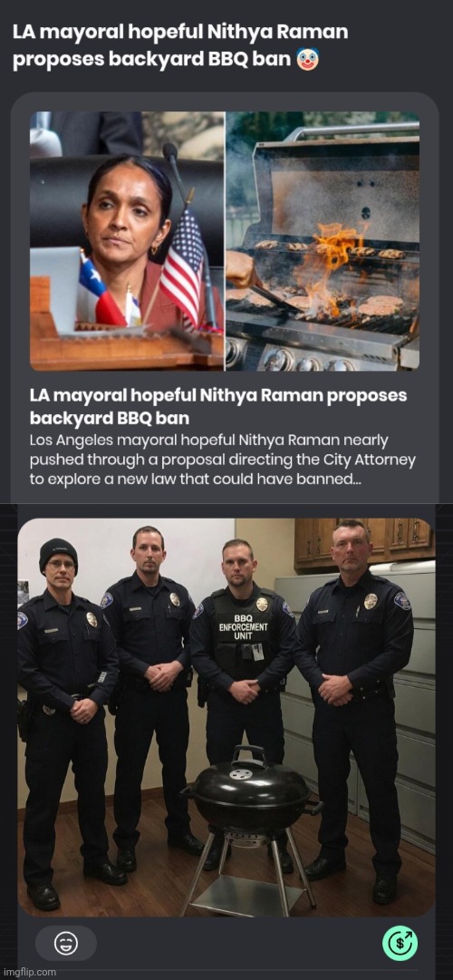 Hands up! It's the BBQ Police! Drop that spatula! | image tagged in bbq,police state | made w/ Imgflip meme maker