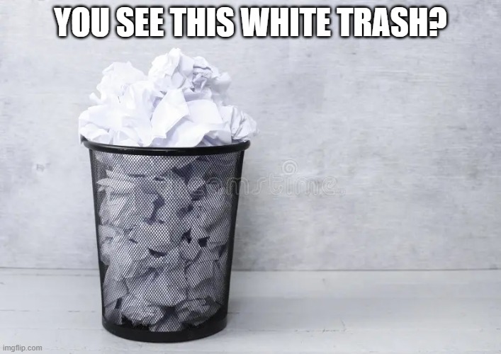 You see this white trash? | YOU SEE THIS WHITE TRASH? | image tagged in white trash,white,paper,garbage,can,trash | made w/ Imgflip meme maker