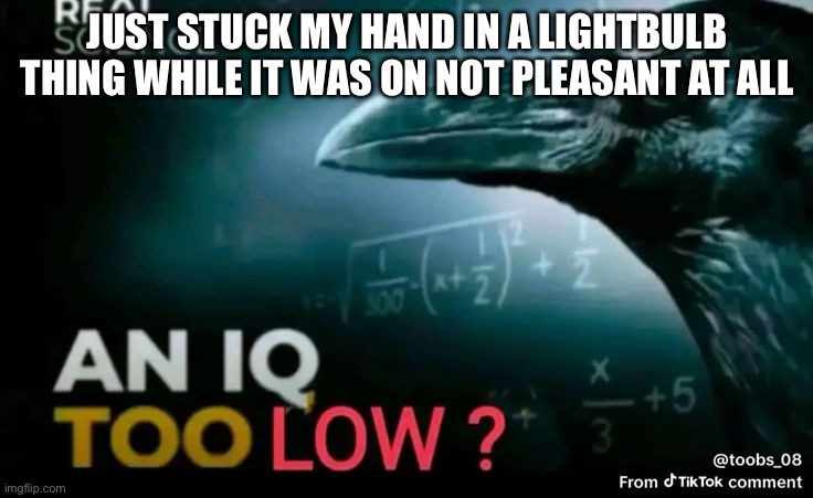 Twas an accident | Just stuck my hand in a lightbulb thing while it was on not pleasant at all | image tagged in an iq too low | made w/ Imgflip meme maker