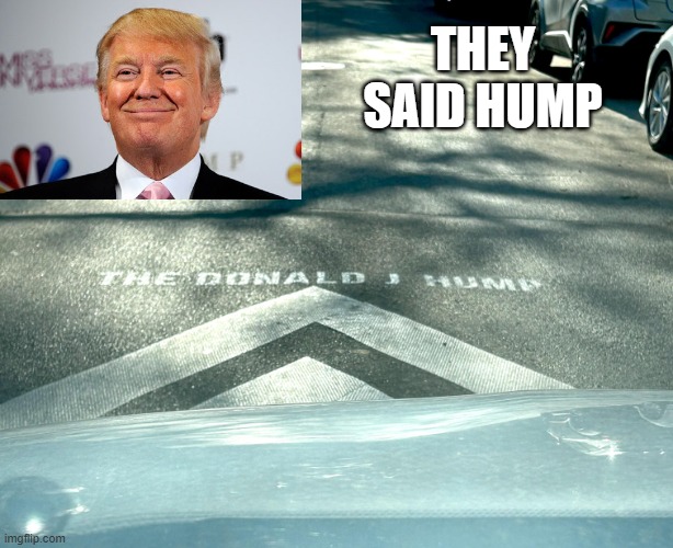 Too Accurate | They said hump | image tagged in ns5qr19xha1h1 jpeg | made w/ Imgflip meme maker