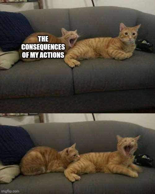 Consequences | The consequences of my actions | image tagged in cat biting cat,consequences,karma's a bitch | made w/ Imgflip meme maker