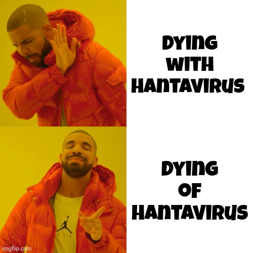 Drake Hotline Bling Meme | Dying with Hantavirus Dying of Hantavirus | image tagged in memes,drake hotline bling | made w/ Imgflip meme maker
