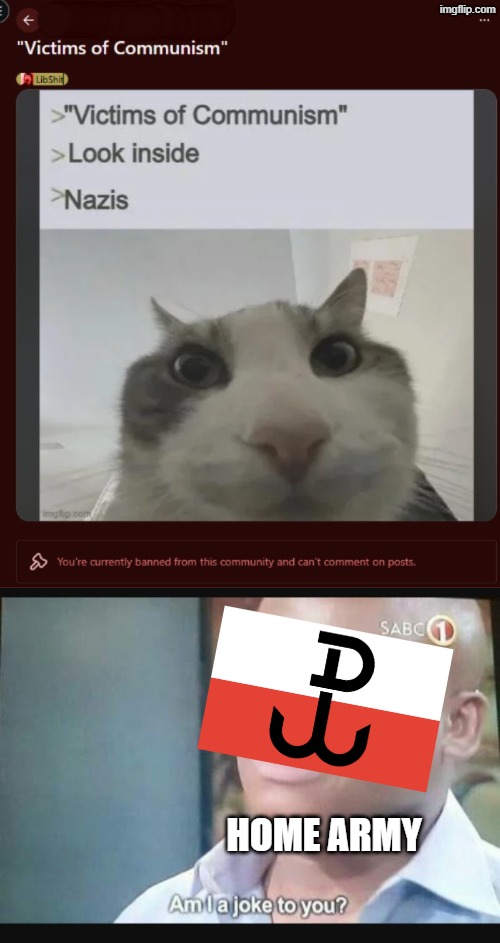 Deconstructing the victims of communism were nazis myth with the polish home army and witold pilecki | Home army | image tagged in am i a joke to you,poland,communism,communist,polish,ussr | made w/ Imgflip meme maker