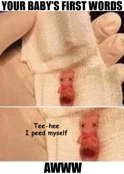 image tagged in dark humor,abortion,nsfw,funny | made w/ Imgflip meme maker