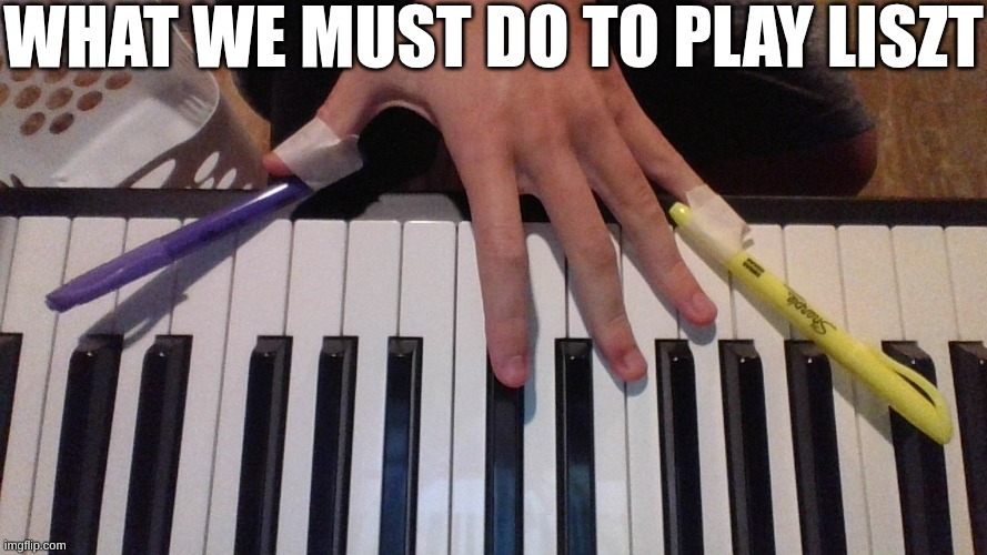 I can't!!! | What we must do to play Liszt | image tagged in piano,classical music,music,funny,memes | made w/ Imgflip meme maker