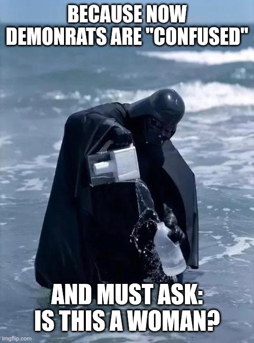 Darth Vader Makes No Sense | because now demonrats are "confused" and must ask: is this a woman? | image tagged in darth vader makes no sense | made w/ Imgflip meme maker