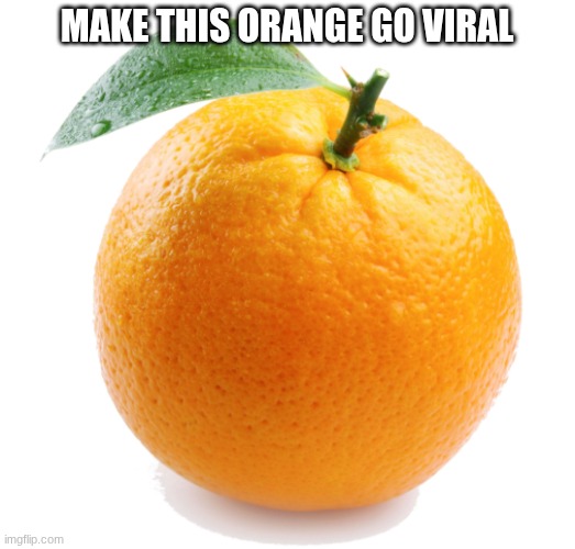 Screenshot 2026-05-15 2.42.29 PM.png | Make this orange go viral | image tagged in screenshot 2026-05-15 2 42 29 pm png | made w/ Imgflip meme maker