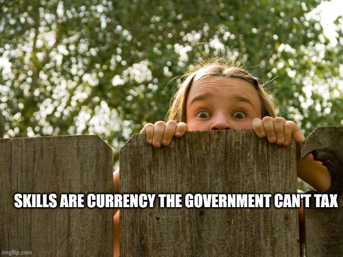 Peeking over fence | Skills are currency the government can't tax | image tagged in peeking over fence | made w/ Imgflip meme maker