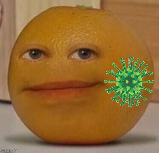 annoy orange | image tagged in annoy orange | made w/ Imgflip meme maker