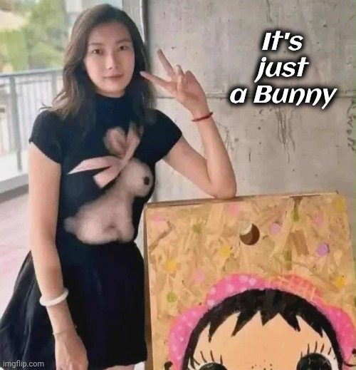 That's a nice shirt | It's just a Bunny | image tagged in optical illusion,not scary,bunny,what do you mean,oh no anyway | made w/ Imgflip meme maker