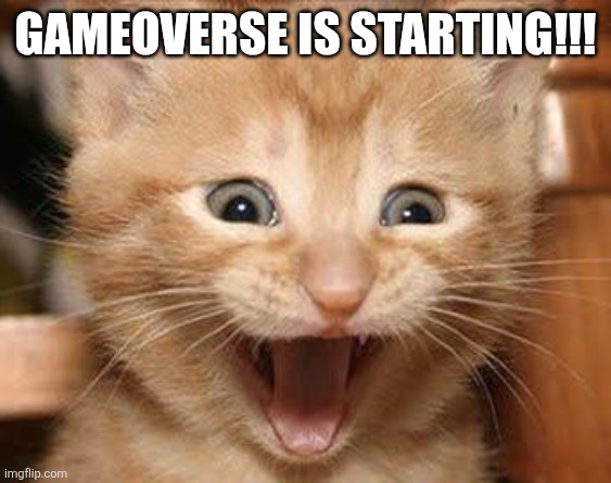 new glitch content lets go | gameoverse is starting!!! | image tagged in memes,excited cat | made w/ Imgflip meme maker