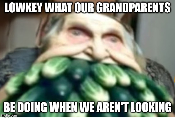grandparents | lowkey what our grandparents; be doing when we aren't looking | image tagged in screenshot 2026-05-15 4 22 40 pm png | made w/ Imgflip meme maker